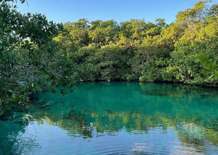 Tankah Bay Jungle With Sea Access 2 Bdr * Tulum